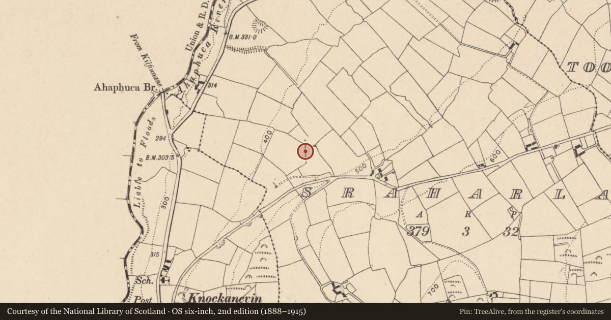 Ordnance Survey six-inch map, 2nd edition (1888–1915) covering the location of Fulacht fia, Sraharla, County Cork, with a pin at the register's coordinates