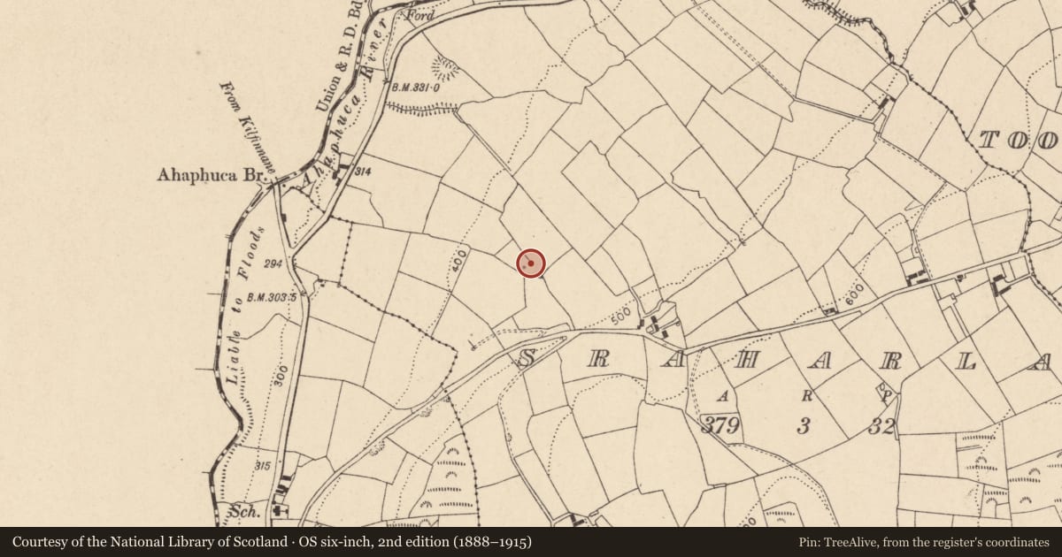 Ordnance Survey six-inch map, 2nd edition (1888–1915) covering the location of Fulacht fia, Sraharla, County Cork, with a pin at the register's coordinates