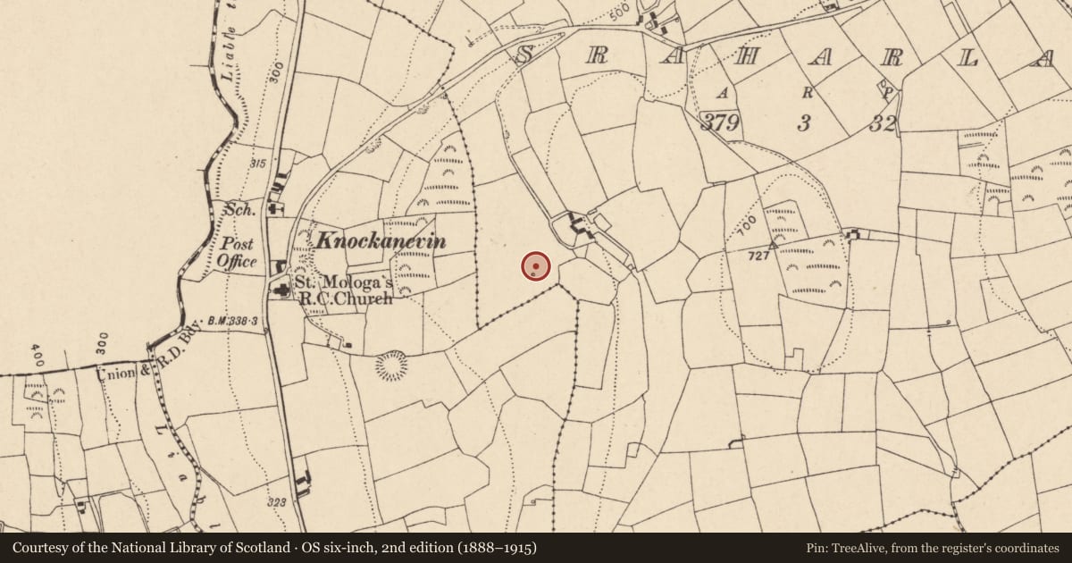 Ordnance Survey six-inch map, 2nd edition (1888–1915) covering the location of Fulacht fia, Sraharla, County Cork, with a pin at the register's coordinates