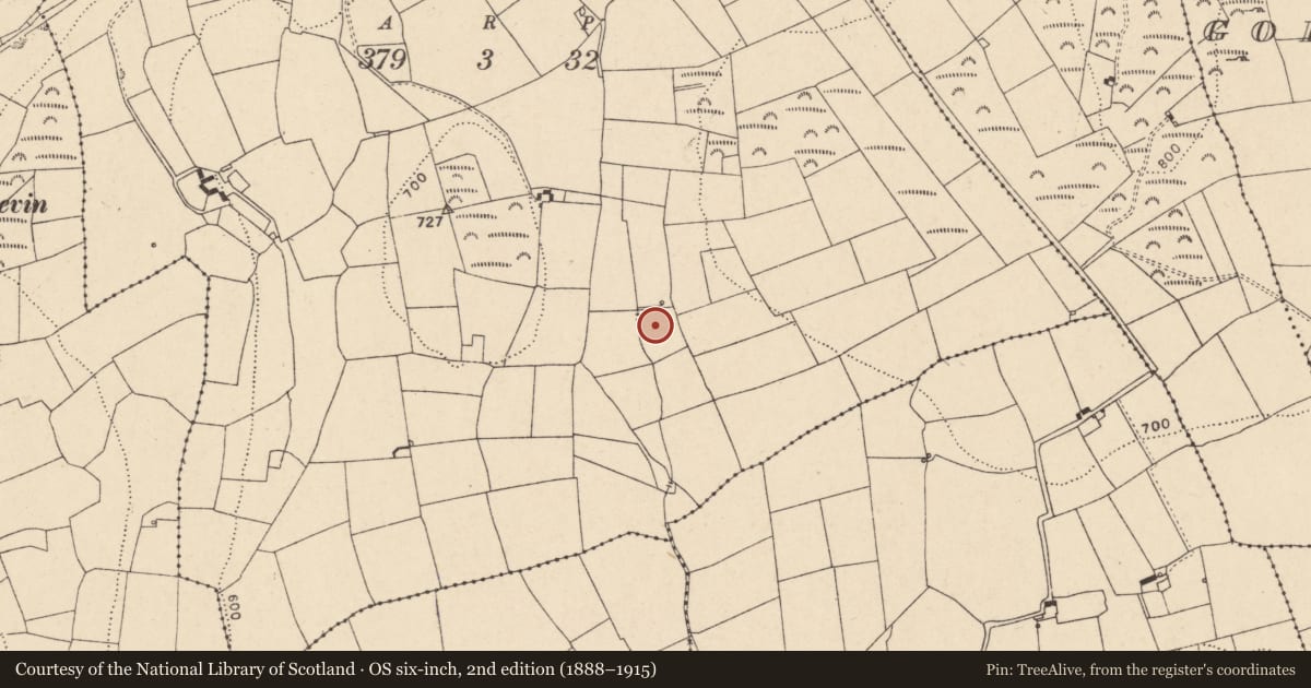 Ordnance Survey six-inch map, 2nd edition (1888–1915) covering the location of Fulacht fia, Sraharla, County Cork, with a pin at the register's coordinates