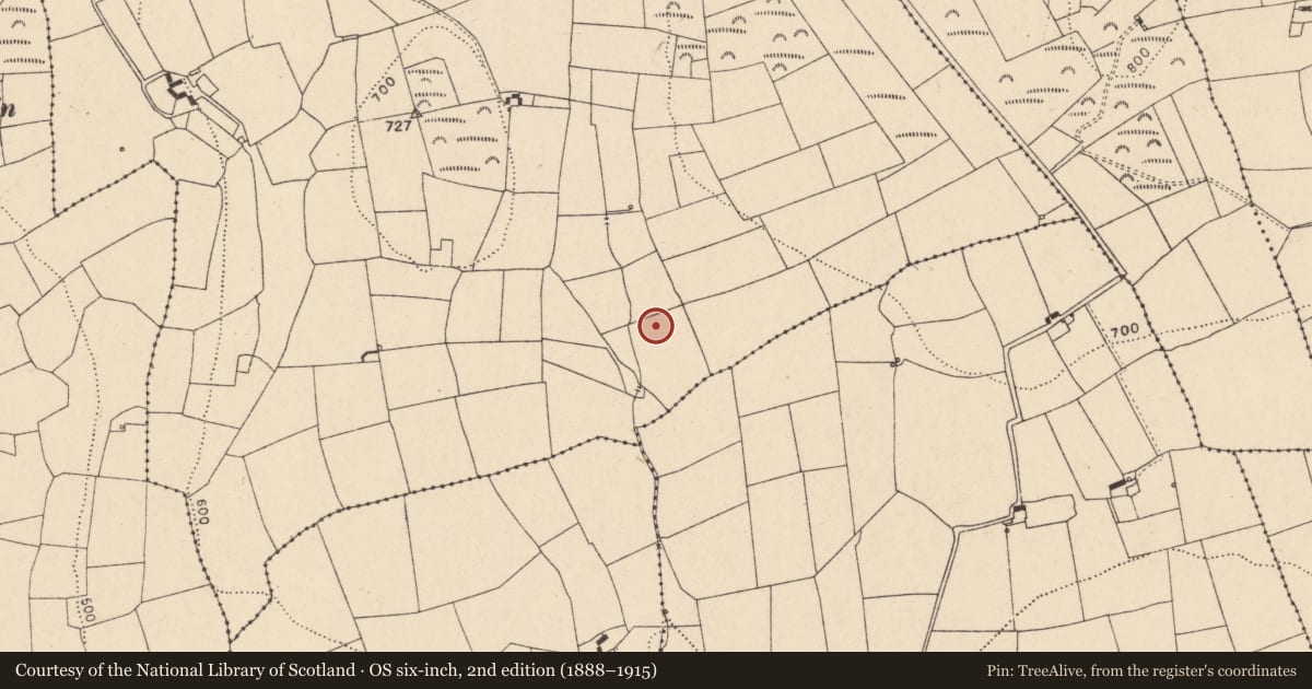 Ordnance Survey six-inch map, 2nd edition (1888–1915) covering the location of Fulacht fia, Sraharla, County Cork, with a pin at the register's coordinates