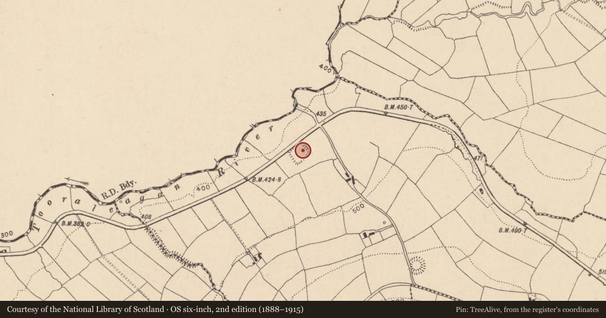 Ordnance Survey six-inch map, 2nd edition (1888–1915) covering the location of Moated site, Toorreagh, County Cork, with a pin at the register's coordinates
