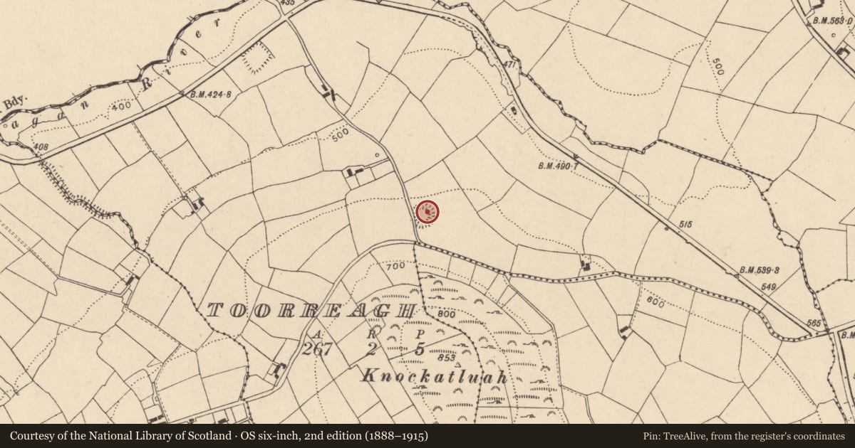 Ordnance Survey six-inch map, 2nd edition (1888–1915) covering the location of Ringfort - rath, Toorreagh, County Cork, with a pin at the register's coordinates