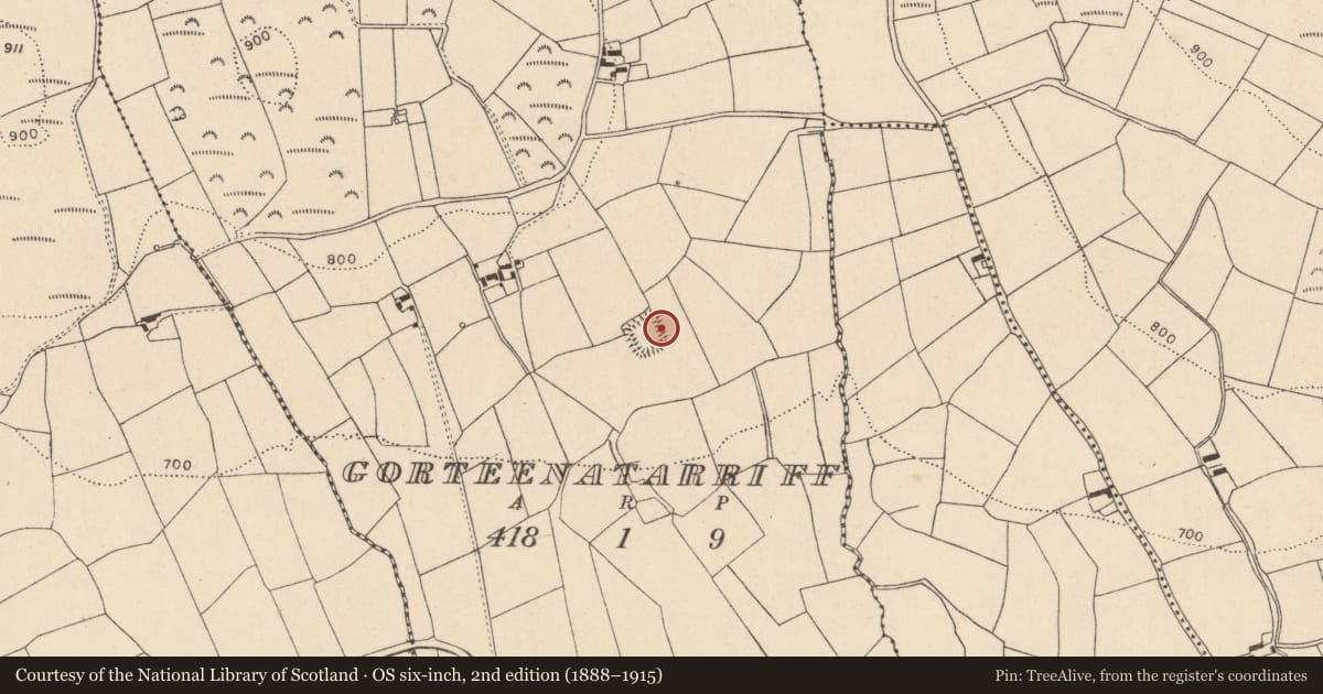 Ordnance Survey six-inch map, 2nd edition (1888–1915) covering the location of Moated site, Gorteenatarriff, County Cork, with a pin at the register's coordinates