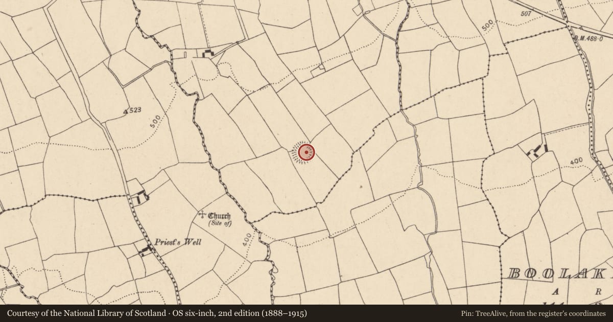 Ordnance Survey six-inch map, 2nd edition (1888–1915) covering the location of Ringfort - rath, Gorteenatarriff, County Cork, with a pin at the register's coordinates