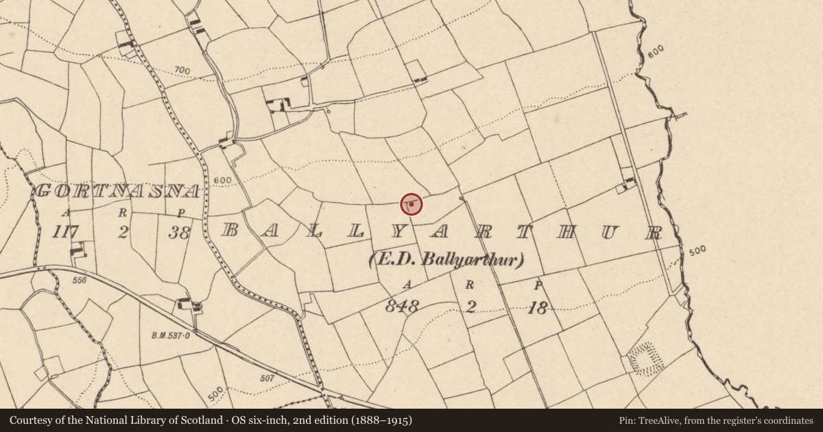 Ordnance Survey six-inch map, 2nd edition (1888–1915) covering the location of Fulacht fia, Ballyarthur (Condons and Clongibbon By., Marshalstown Par.), County Cork, with a pin at the register's coordinates