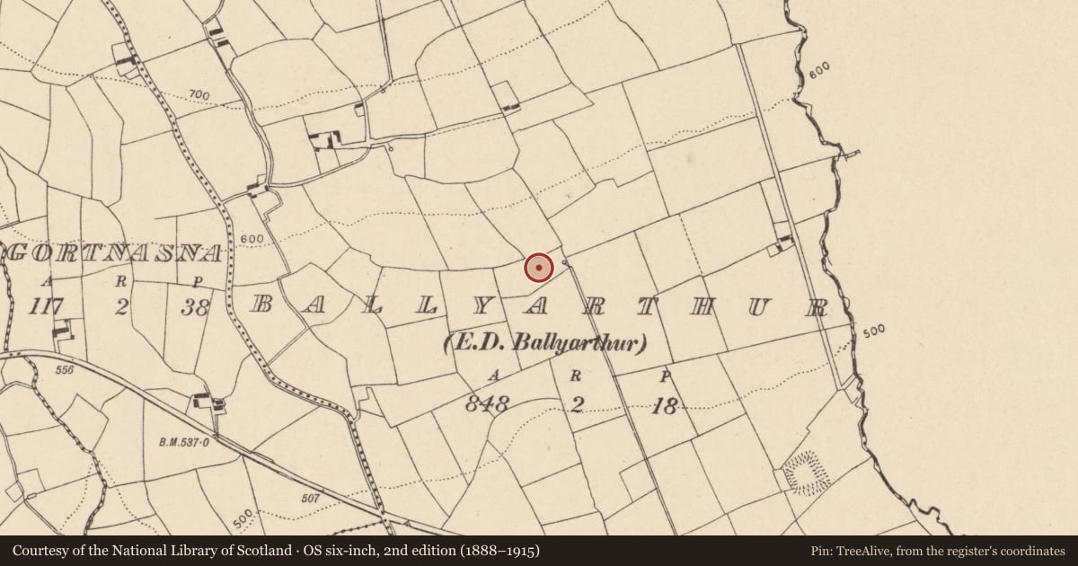 Ordnance Survey six-inch map, 2nd edition (1888–1915) covering the location of Fulacht fia, Ballyarthur (Condons and Clongibbon By., Marshalstown Par.), County Cork, with a pin at the register's coordinates