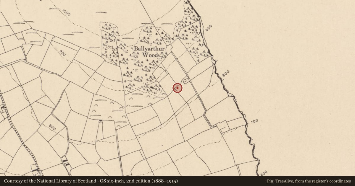 Ordnance Survey six-inch map, 2nd edition (1888–1915) covering the location of Kiln - lime, Ballyarthur (Condons and Clongibbon By., Marshalstown Par.), County Cork, with a pin at the register's coordinates