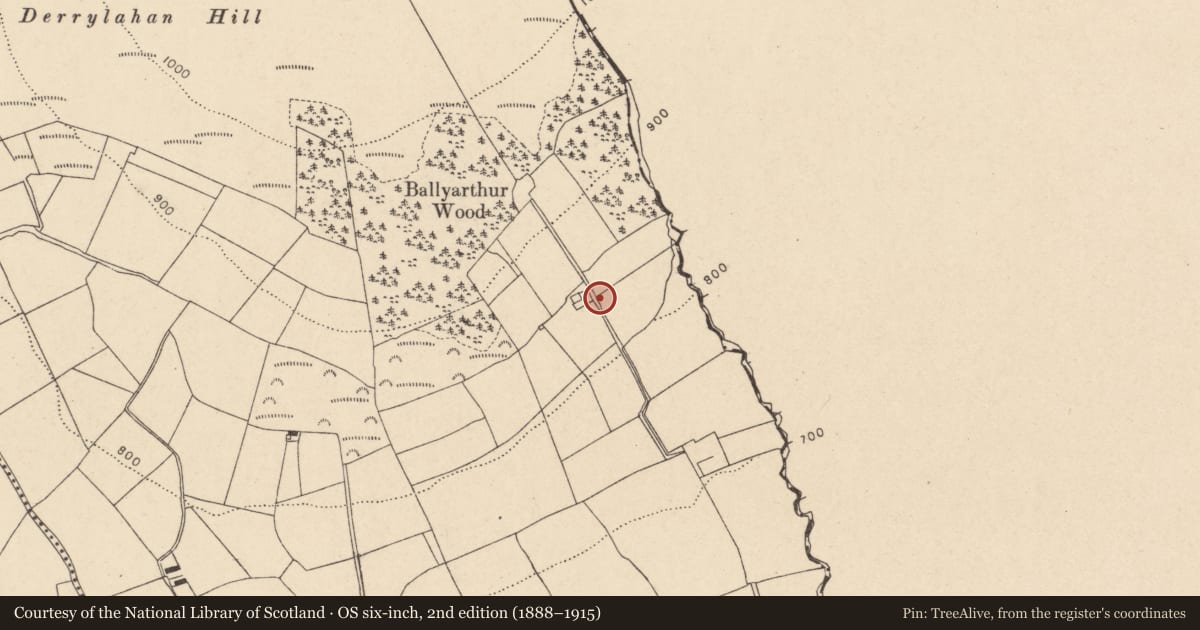 Ordnance Survey six-inch map, 2nd edition (1888–1915) covering the location of Standing stone, Ballyarthur (Condons and Clongibbon By., Marshalstown Par.), County Cork, with a pin at the register's coordinates