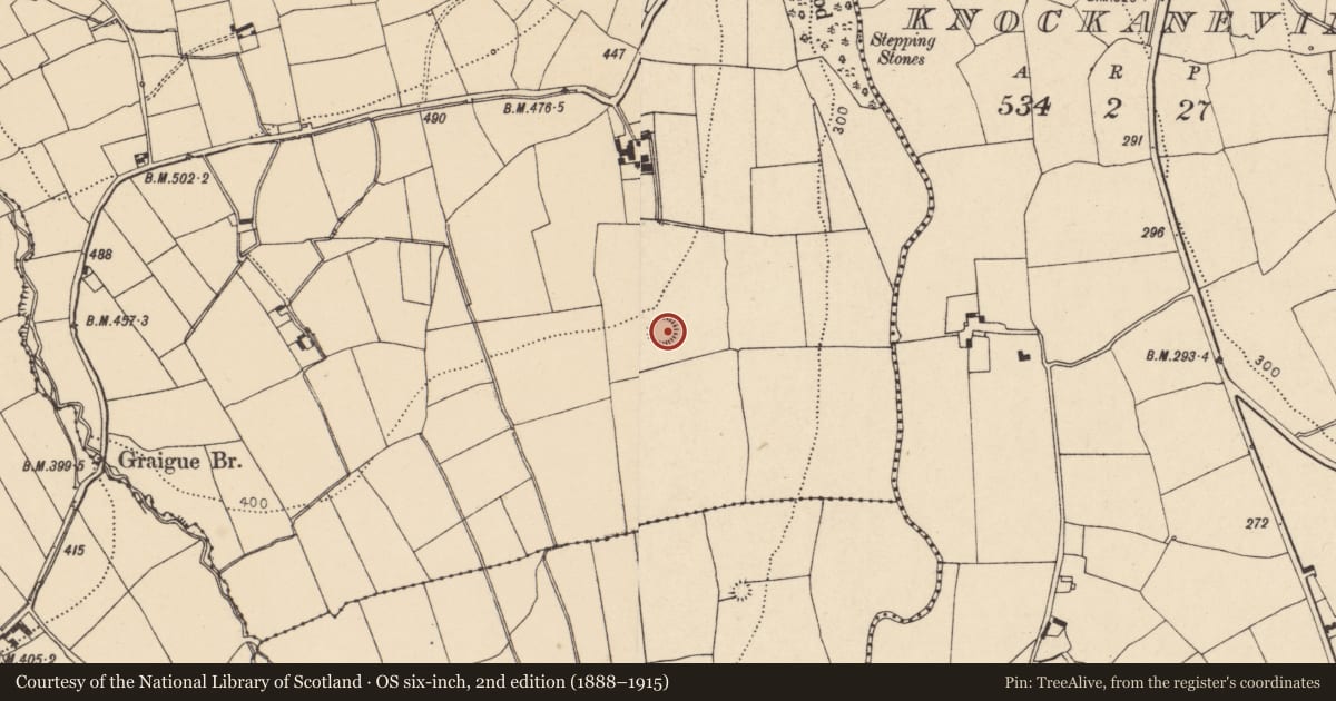 Ordnance Survey six-inch map, 2nd edition (1888–1915) covering the location of Ringfort - rath, Kilclooney, County Cork, with a pin at the register's coordinates