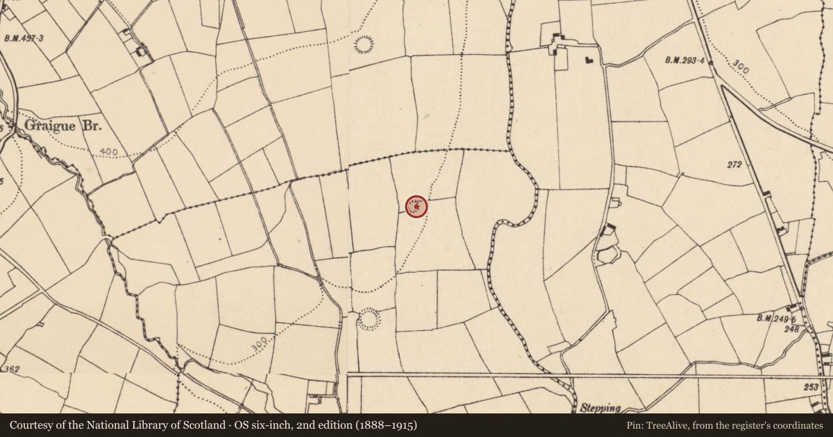 Ordnance Survey six-inch map, 2nd edition (1888–1915) covering the location of Ringfort - rath, Ballyshurdane, County Cork, with a pin at the register's coordinates
