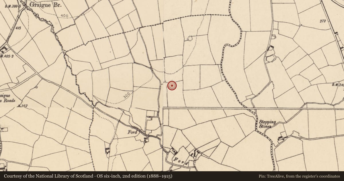 Ordnance Survey six-inch map, 2nd edition (1888–1915) covering the location of Ringfort - rath, Ballyshurdane, County Cork, with a pin at the register's coordinates