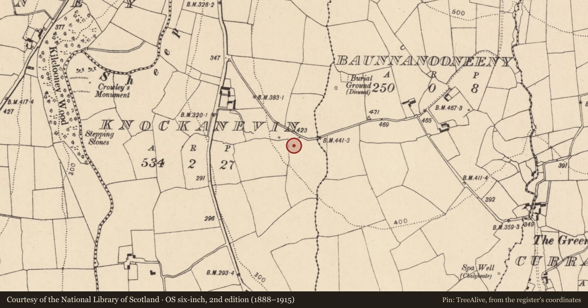 Ordnance Survey six-inch map, 2nd edition (1888–1915) covering the location of Fulacht fia, Knockanevin, County Cork, with a pin at the register's coordinates