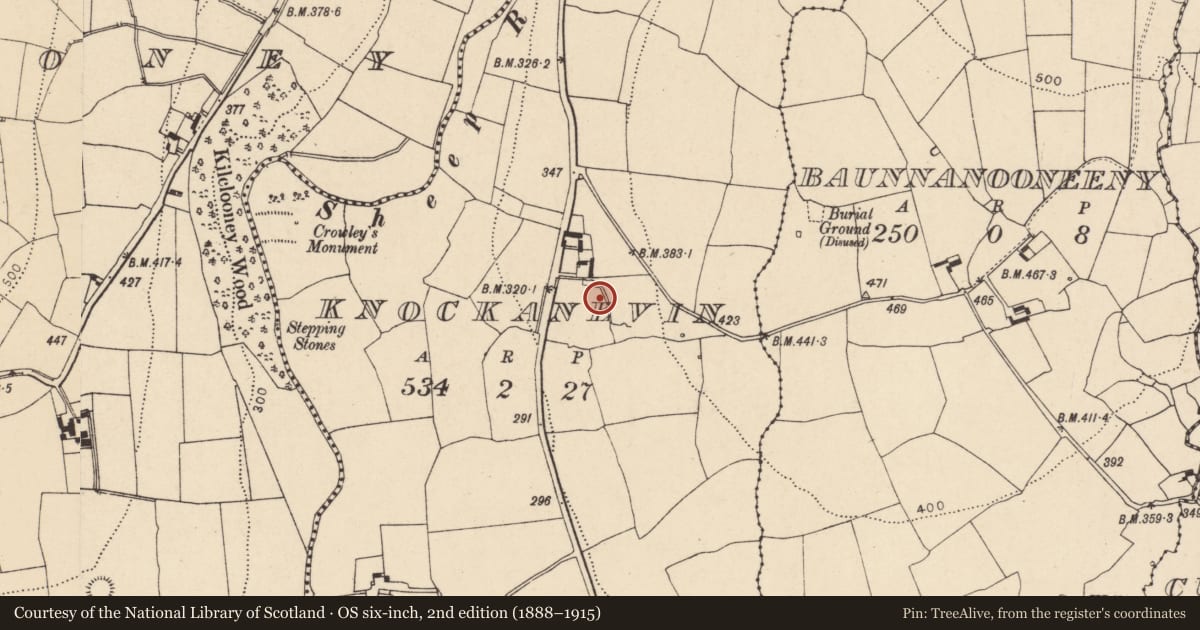 Ordnance Survey six-inch map, 2nd edition (1888–1915) covering the location of Fulacht fia, Knockanevin, County Cork, with a pin at the register's coordinates
