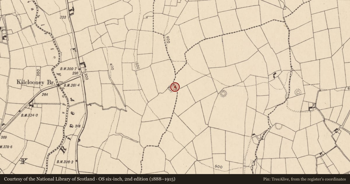 Ordnance Survey six-inch map, 2nd edition (1888–1915) covering the location of Moated site, Knockanevin, County Cork, with a pin at the register's coordinates