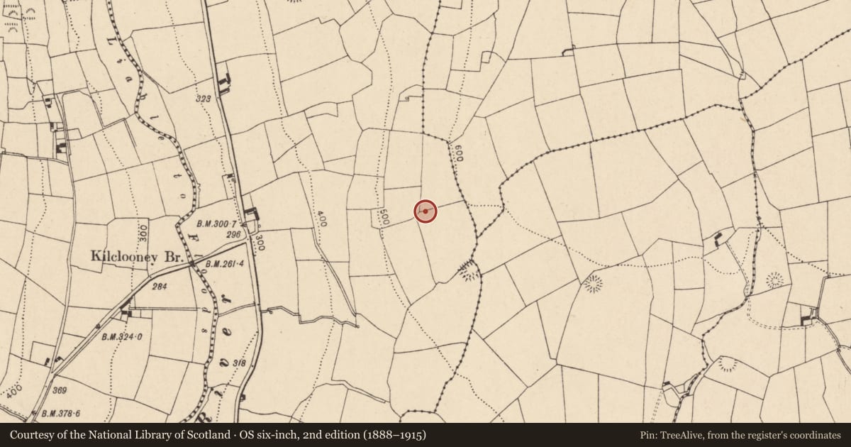 Ordnance Survey six-inch map, 2nd edition (1888–1915) covering the location of Fulacht fia, Knockanevin, County Cork, with a pin at the register's coordinates