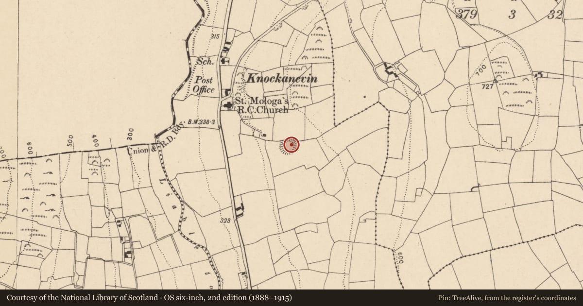 Ordnance Survey six-inch map, 2nd edition (1888–1915) covering the location of Ringfort - rath, Knockanevin, County Cork, with a pin at the register's coordinates