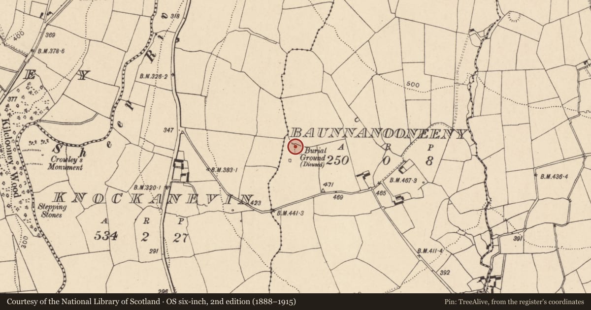 Ordnance Survey six-inch map, 2nd edition (1888–1915) covering the location of Church, Baunnanooneeny, County Cork, with a pin at the register's coordinates