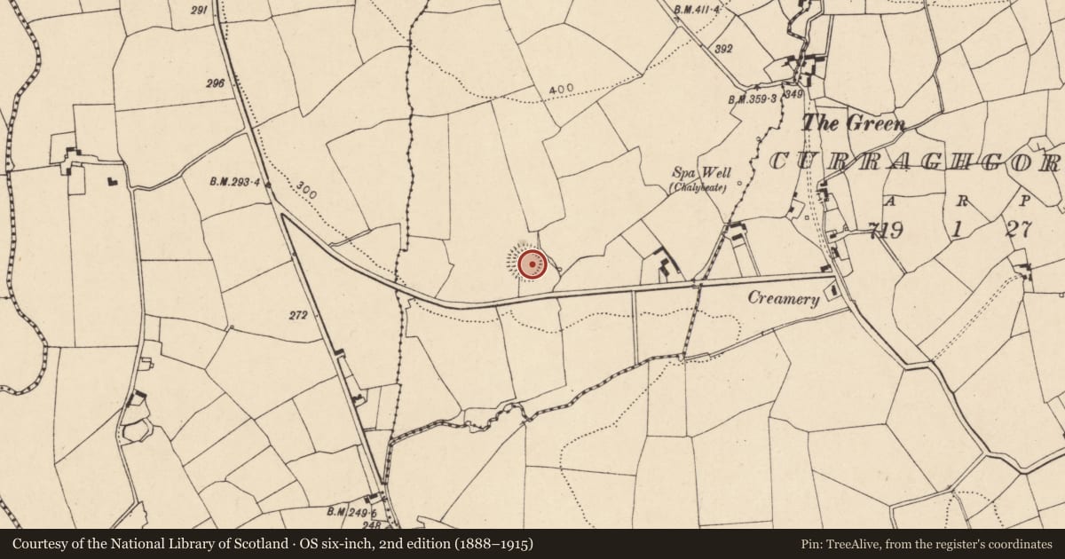 Ordnance Survey six-inch map, 2nd edition (1888–1915) covering the location of Ringfort - rath, Baunnanooneeny, County Cork, with a pin at the register's coordinates