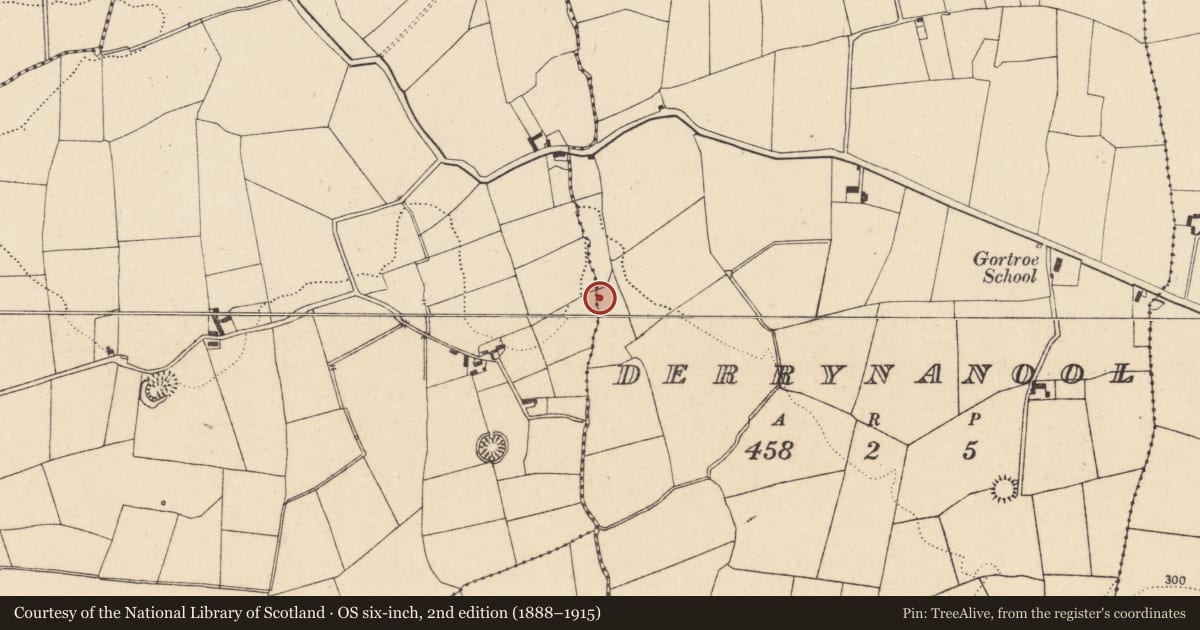 Ordnance Survey six-inch map, 2nd edition (1888–1915) covering the location of Water mill - horizontal-wheeled, Curraghgorm, County Cork, with a pin at the register's coordinates