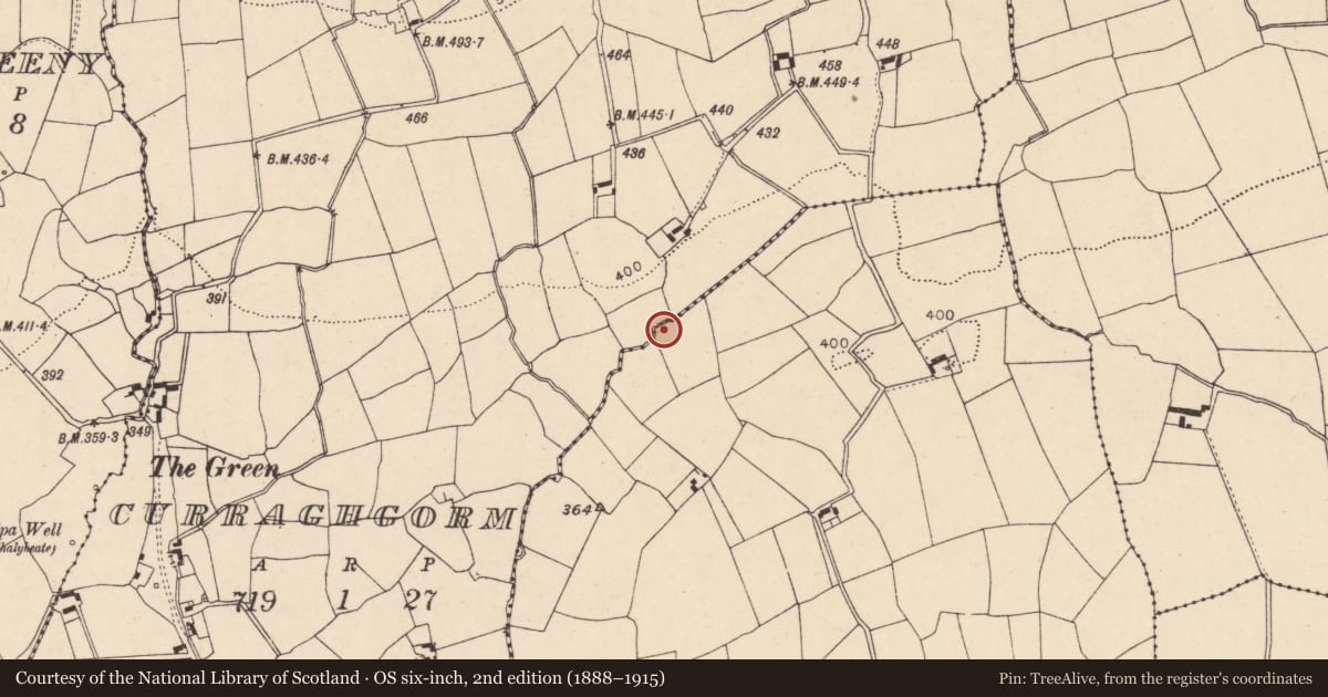 Ordnance Survey six-inch map, 2nd edition (1888–1915) covering the location of Fulacht fia, Curraghgorm, County Cork, with a pin at the register's coordinates