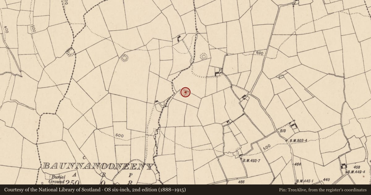 Ordnance Survey six-inch map, 2nd edition (1888–1915) covering the location of Ringfort - rath, Curraghgorm, County Cork, with a pin at the register's coordinates