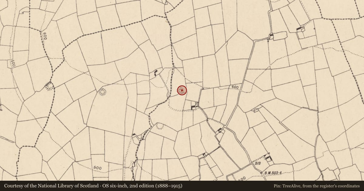 Ordnance Survey six-inch map, 2nd edition (1888–1915) covering the location of Ringfort - rath, Curraghgorm, County Cork, with a pin at the register's coordinates