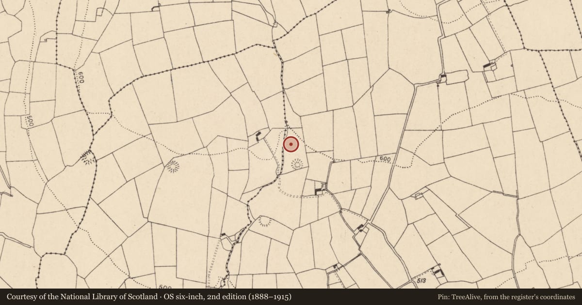 Ordnance Survey six-inch map, 2nd edition (1888–1915) covering the location of Fulacht fia, Curraghgorm, County Cork, with a pin at the register's coordinates