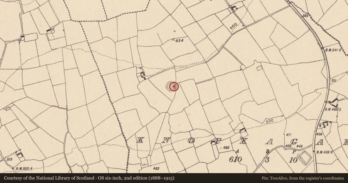 Ordnance Survey six-inch map, 2nd edition (1888–1915) covering the location of Ringfort - rath, Knockagarry, County Cork, with a pin at the register's coordinates