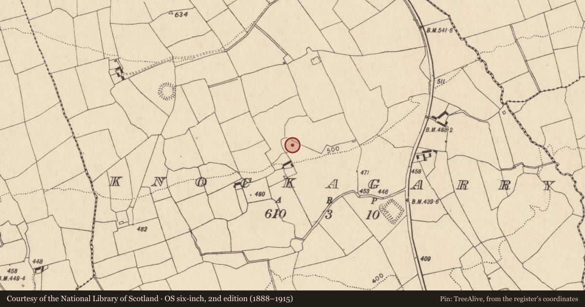 Ordnance Survey six-inch map, 2nd edition (1888–1915) covering the location of Ringfort - rath, Knockagarry, County Cork, with a pin at the register's coordinates
