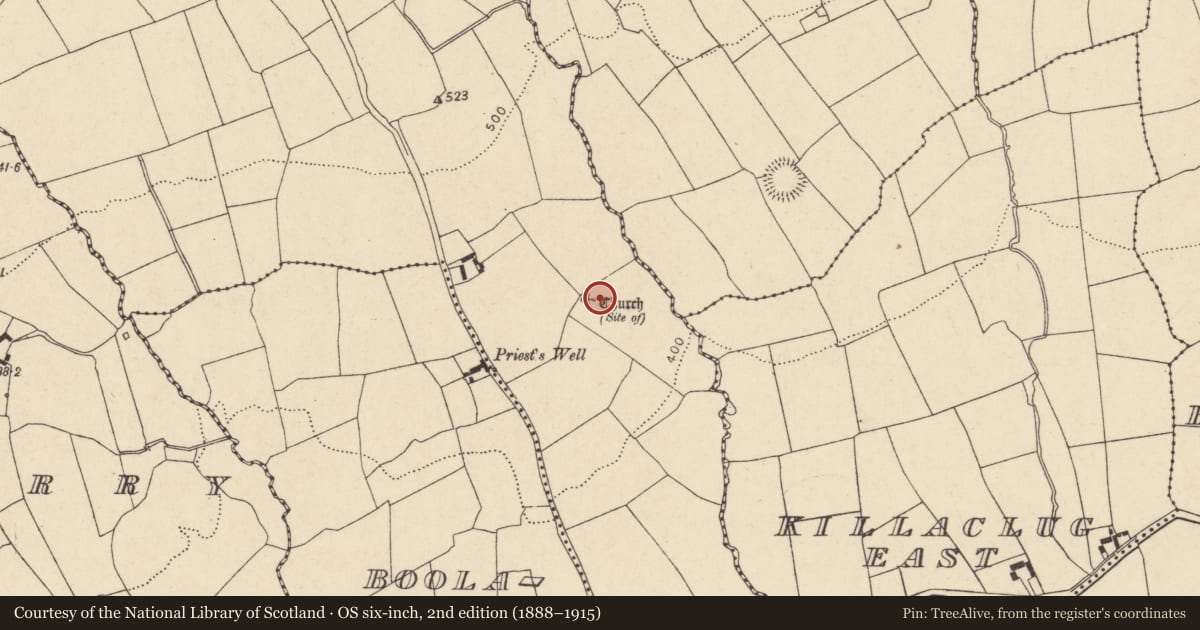 Ordnance Survey six-inch map, 2nd edition (1888–1915) covering the location of Graveyard, Gortroe, County Cork, with a pin at the register's coordinates