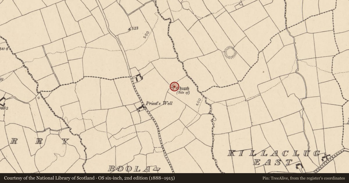 Ordnance Survey six-inch map, 2nd edition (1888–1915) covering the location of Church, Gortroe, County Cork, with a pin at the register's coordinates
