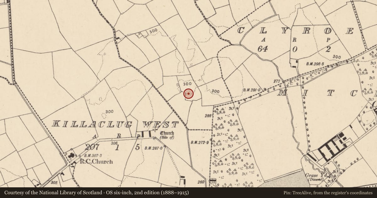 Ordnance Survey six-inch map, 2nd edition (1888–1915) covering the location of Ringfort - rath, Killaclug East, County Cork, with a pin at the register's coordinates