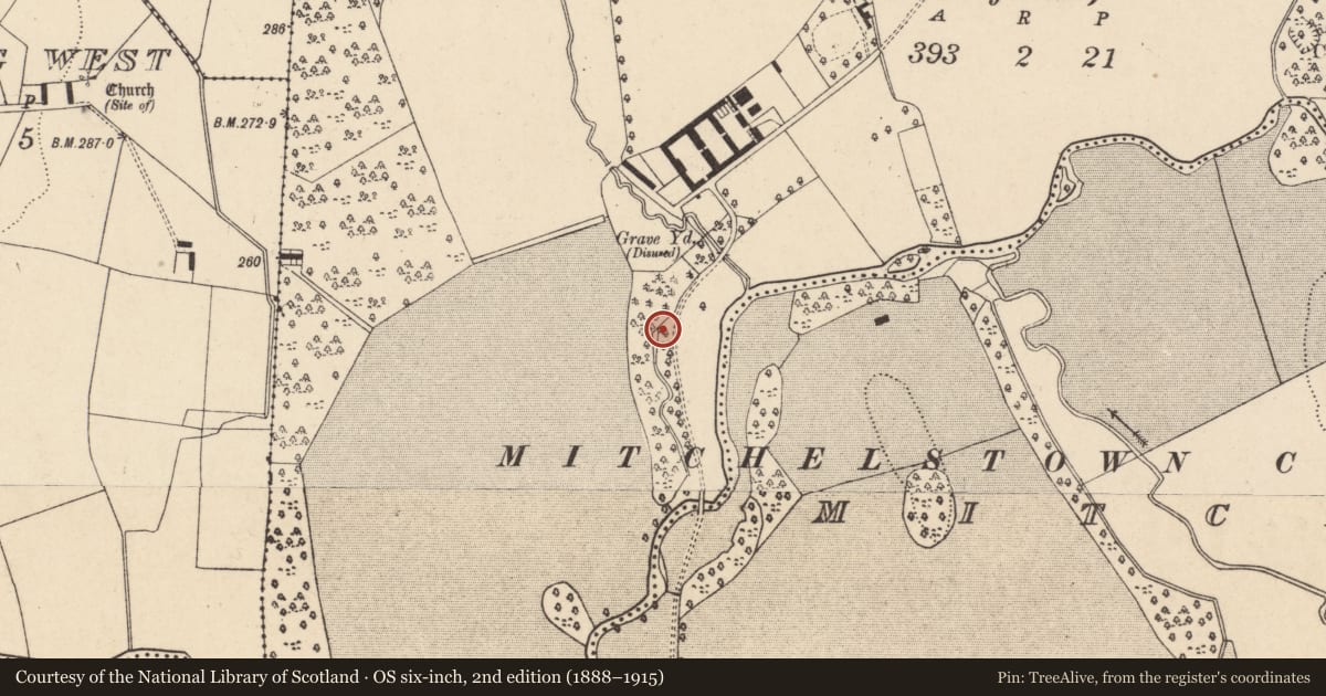 Ordnance Survey six-inch map, 2nd edition (1888–1915) covering the location of Ritual site - holy well, Mitchelstown, County Cork, with a pin at the register's coordinates