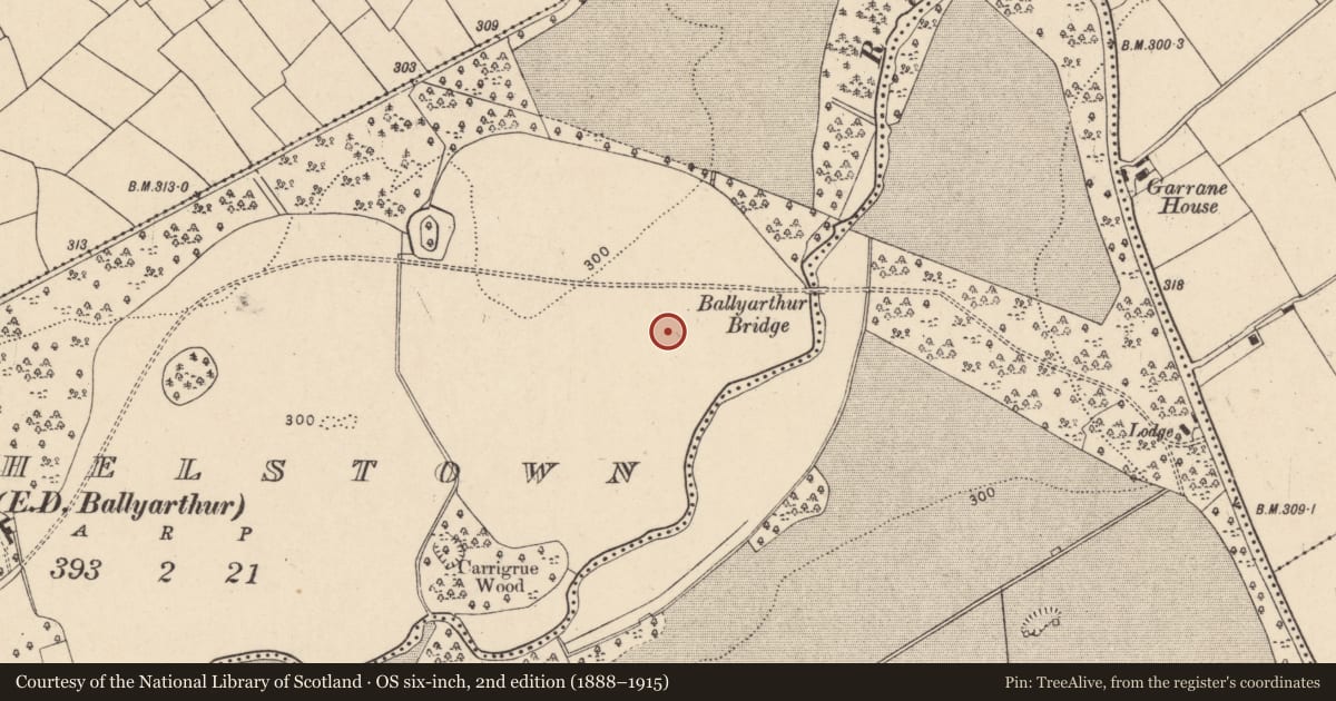 Ordnance Survey six-inch map, 2nd edition (1888–1915) covering the location of Ringfort - rath, Mitchelstown, County Cork, with a pin at the register's coordinates