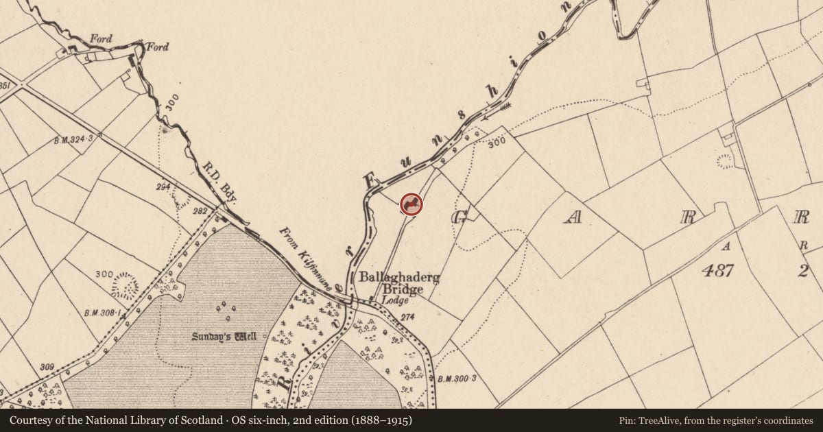 Ordnance Survey six-inch map, 2nd edition (1888–1915) covering the location of Mill - woollen, Garrane, County Cork, with a pin at the register's coordinates