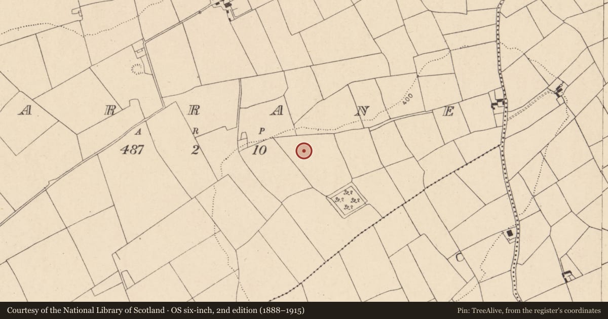 Ordnance Survey six-inch map, 2nd edition (1888–1915) covering the location of Souterrain, Garrane, County Cork, with a pin at the register's coordinates