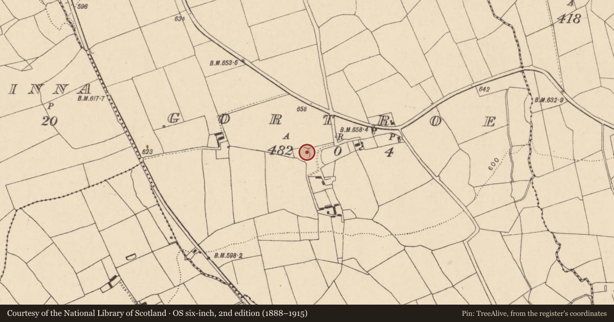 Ordnance Survey six-inch map, 2nd edition (1888–1915) covering the location of Ringfort - rath, Gortroe, County Cork, with a pin at the register's coordinates