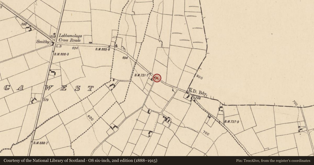 Ordnance Survey six-inch map, 2nd edition (1888–1915) covering the location of House - vernacular house, Labbamolaga East, County Cork, with a pin at the register's coordinates