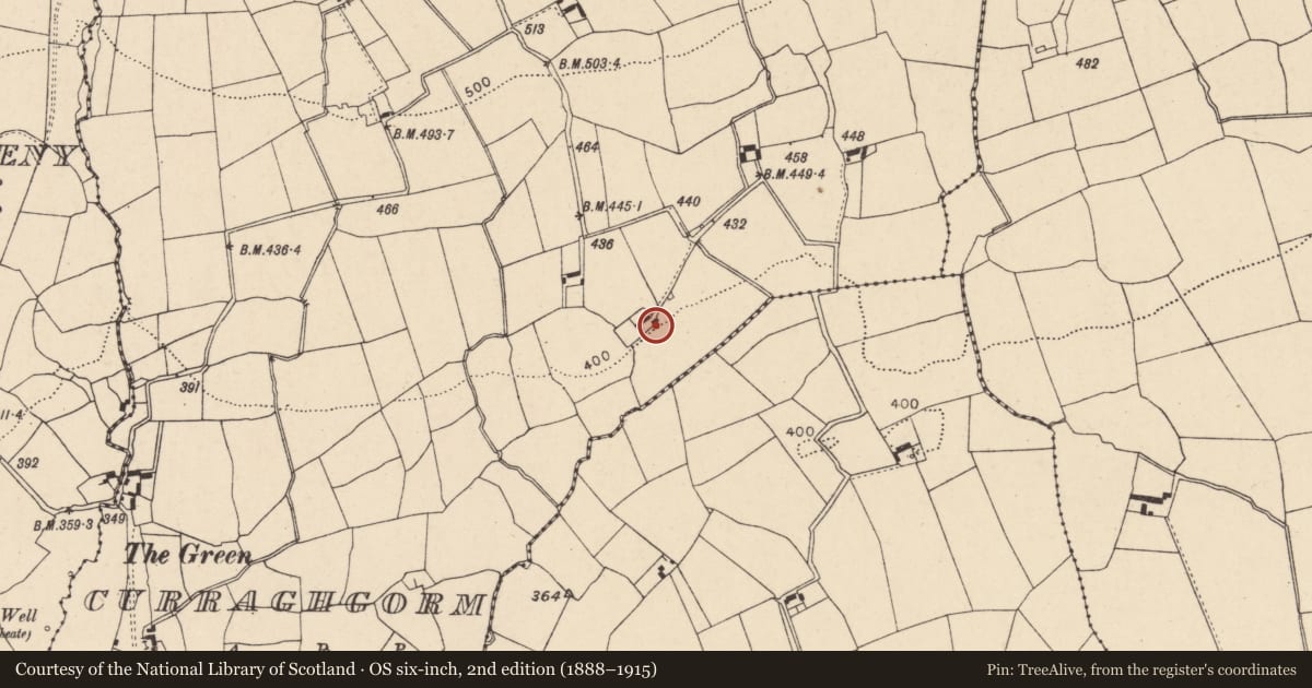 Ordnance Survey six-inch map, 2nd edition (1888–1915) covering the location of House - vernacular house, Curraghgorm, County Cork, with a pin at the register's coordinates