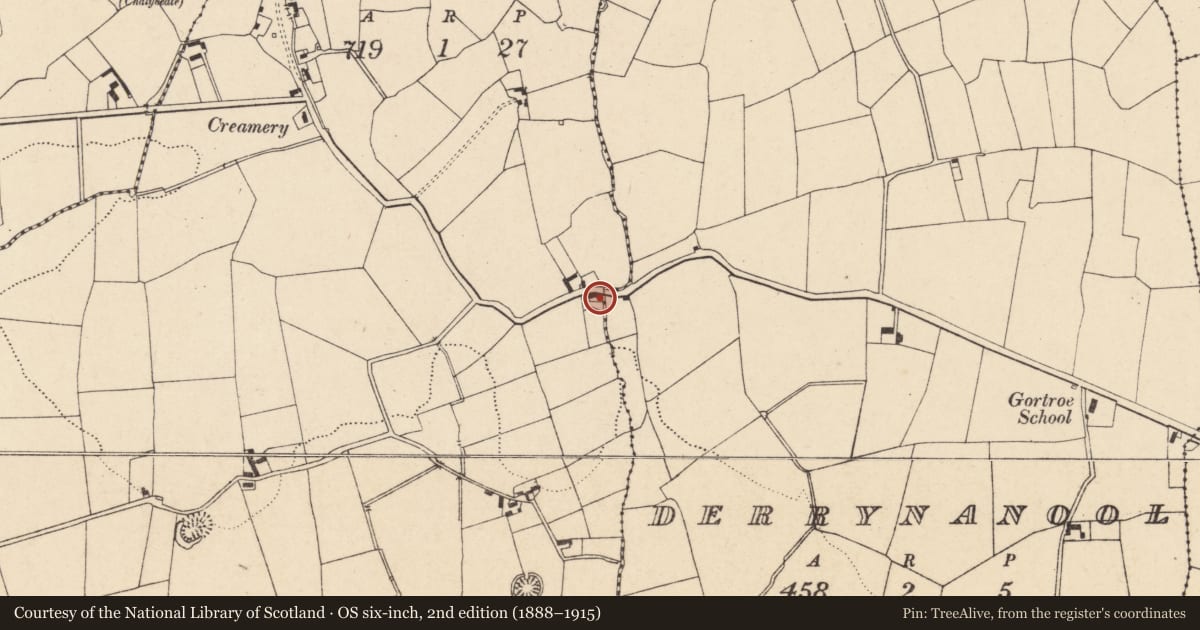 Ordnance Survey six-inch map, 2nd edition (1888–1915) covering the location of House - vernacular house, Curraghgorm, County Cork, with a pin at the register's coordinates