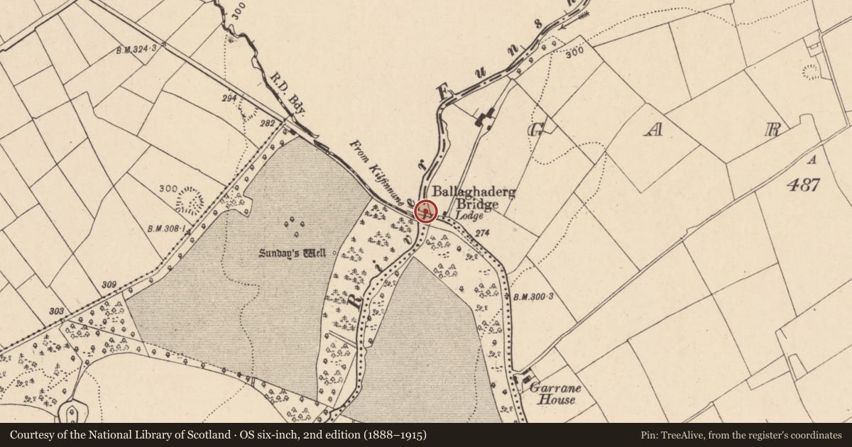 Ordnance Survey six-inch map, 2nd edition (1888–1915) covering the location of Bridge, Garrane, Mitchelstown, County Cork, with a pin at the register's coordinates
