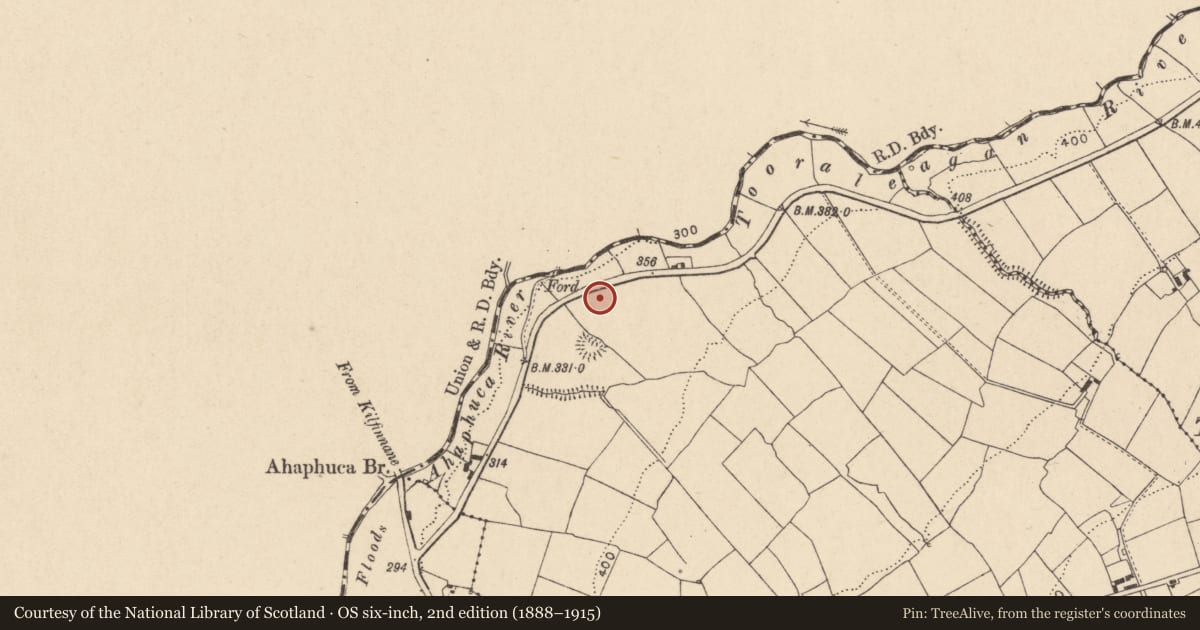 Ordnance Survey six-inch map, 2nd edition (1888–1915) covering the location of Barrow - ring-barrow, Sraharla, County Cork, with a pin at the register's coordinates