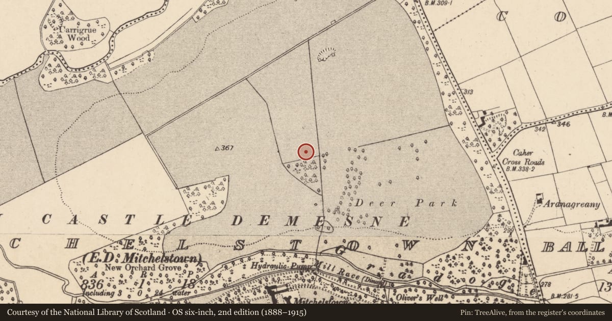 Ordnance Survey six-inch map, 2nd edition (1888–1915) covering the location of House - Bronze Age, Mitchelstown, County Cork, with a pin at the register's coordinates