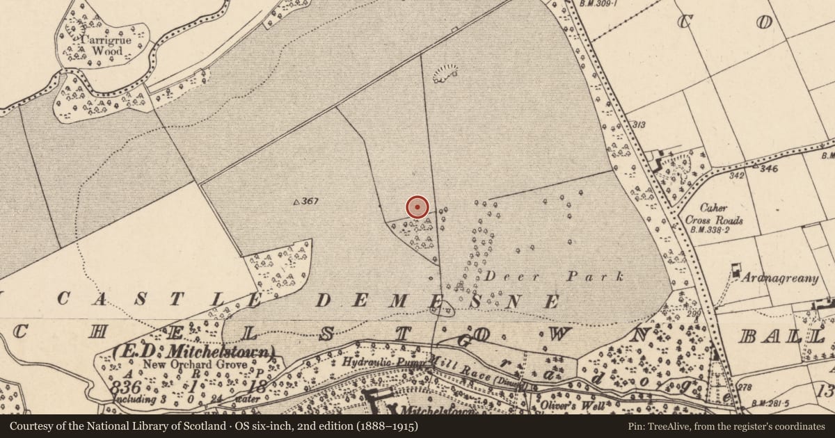 Ordnance Survey six-inch map, 2nd edition (1888–1915) covering the location of House - Bronze Age, Mitchelstown, County Cork, with a pin at the register's coordinates