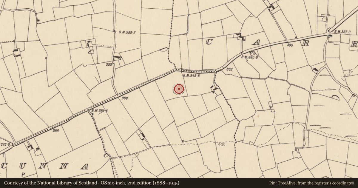 Ordnance Survey six-inch map, 2nd edition (1888–1915) covering the location of Ringfort - rath, Garryleagh, County Cork, with a pin at the register's coordinates