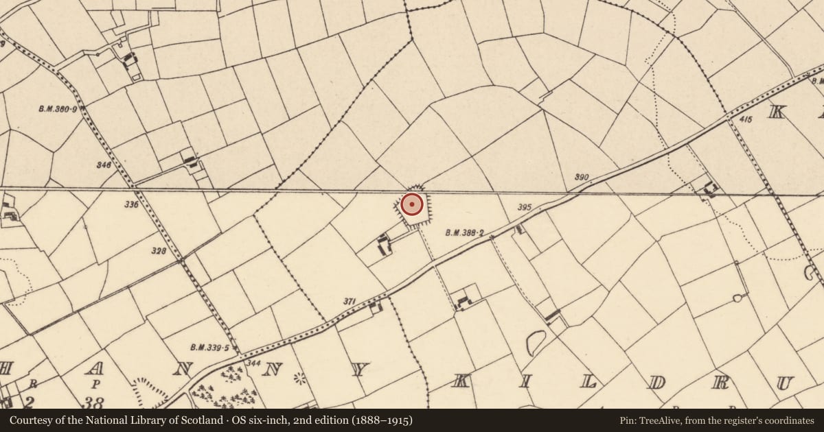 Ordnance Survey six-inch map, 2nd edition (1888–1915) covering the location of Souterrain, Kildrum, County Cork, with a pin at the register's coordinates