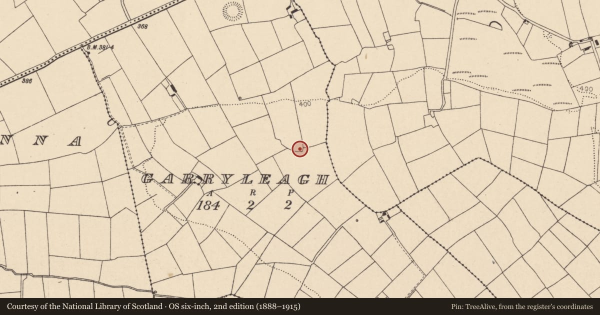 Ordnance Survey six-inch map, 2nd edition (1888–1915) covering the location of Enclosure, Garryleagh, County Cork, with a pin at the register's coordinates