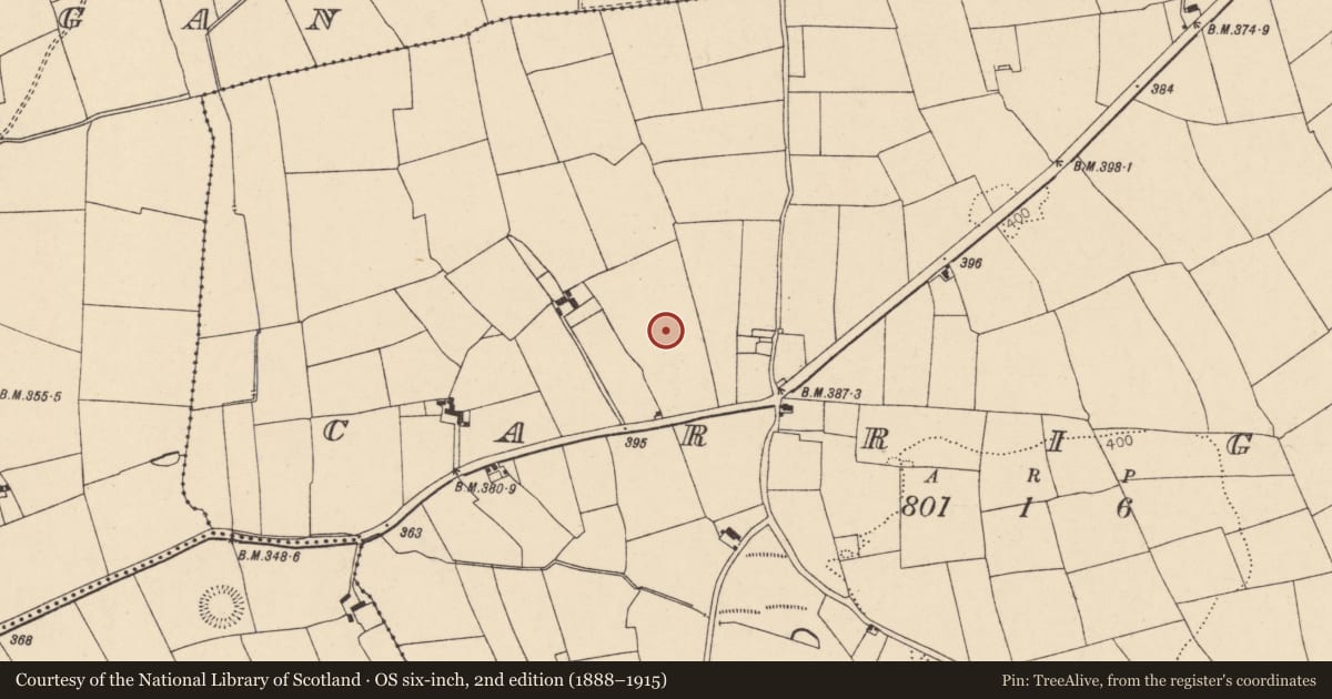 Ordnance Survey six-inch map, 2nd edition (1888–1915) covering the location of Standing stone, Carrigane, County Cork, with a pin at the register's coordinates