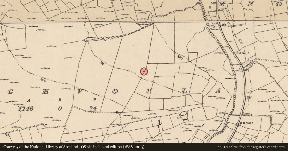 Ordnance Survey six-inch map, 2nd edition (1888–1915) covering the location of Fulacht fia, Cloghvoula, County Cork, with a pin at the register's coordinates